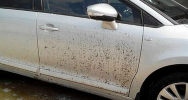 水泥弄到车漆上怎么办(水泥弄到汽车漆面)