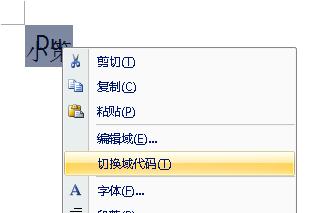 Word2007教你合并字符插图5 Word2007教你合并字符
