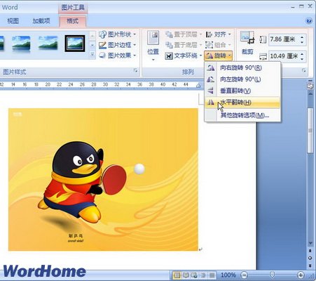 word2007中怎样实现图片旋转插图 word2007中怎样实现图片旋转