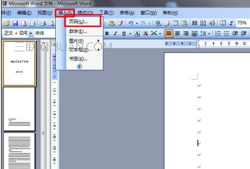word文档首页不设置页码怎么做？附教程方法