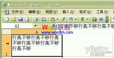 如何设置Excel2003单元格输入文字后自动调整合适行高和列宽？
