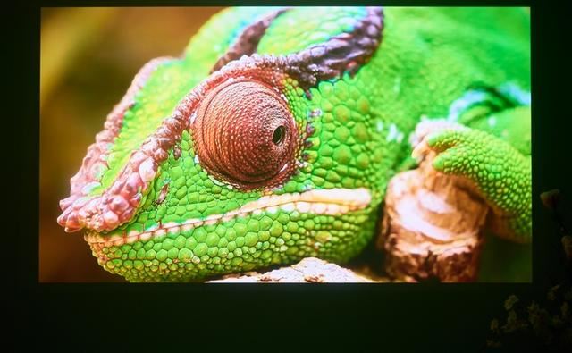 白墙+白天真的能看清? 当贝F7 Pro 4K投影仪全面评测插图11 白墙+白天真的能看清? 当贝F7 Pro 4K投影仪全面评测插图11