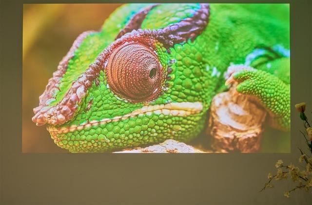 白墙+白天真的能看清? 当贝F7 Pro 4K投影仪全面评测插图12 白墙+白天真的能看清? 当贝F7 Pro 4K投影仪全面评测插图12