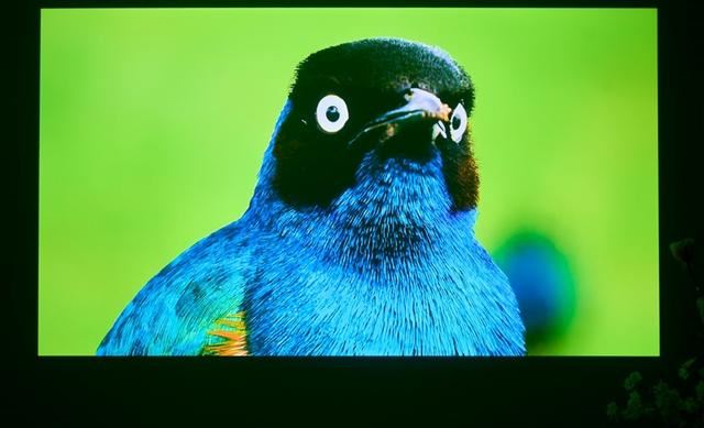 白墙+白天真的能看清? 当贝F7 Pro 4K投影仪全面评测插图13 白墙+白天真的能看清? 当贝F7 Pro 4K投影仪全面评测插图13