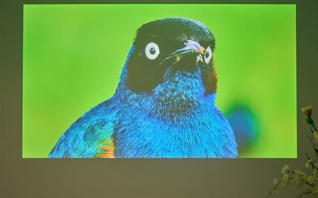 白墙+白天真的能看清? 当贝F7 Pro 4K投影仪全面评测插图14 白墙+白天真的能看清? 当贝F7 Pro 4K投影仪全面评测插图14