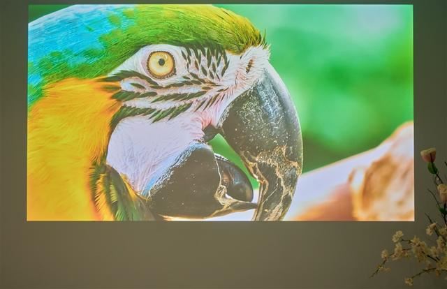 白墙+白天真的能看清? 当贝F7 Pro 4K投影仪全面评测插图16 白墙+白天真的能看清? 当贝F7 Pro 4K投影仪全面评测插图16