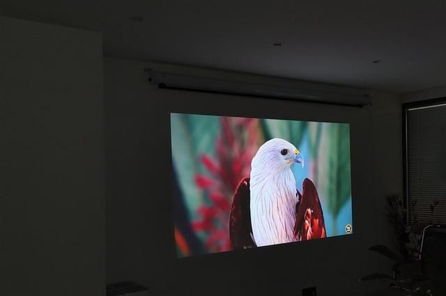 白墙+白天真的能看清? 当贝F7 Pro 4K投影仪全面评测插图17 白墙+白天真的能看清? 当贝F7 Pro 4K投影仪全面评测插图17
