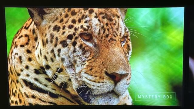 白墙+白天真的能看清? 当贝F7 Pro 4K投影仪全面评测插图19 白墙+白天真的能看清? 当贝F7 Pro 4K投影仪全面评测插图19