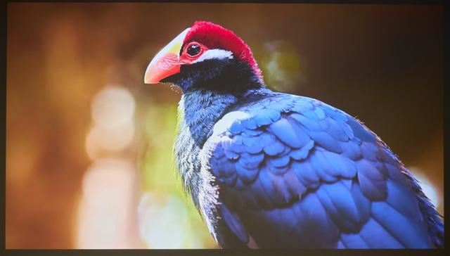 白墙+白天真的能看清? 当贝F7 Pro 4K投影仪全面评测插图20 白墙+白天真的能看清? 当贝F7 Pro 4K投影仪全面评测插图20