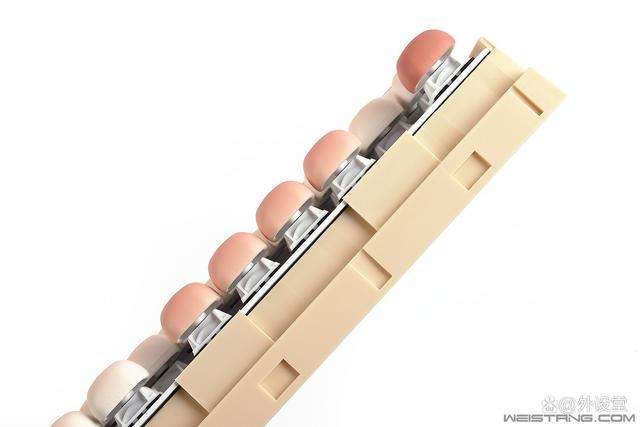 个性化与实用兼具的神器! 魔极客AKKO MG108B馒头乐园三模机械键盘评测插图32 个性化与实用兼具的神器! 魔极客AKKO MG108B馒头乐园三模机械键盘评测插图32