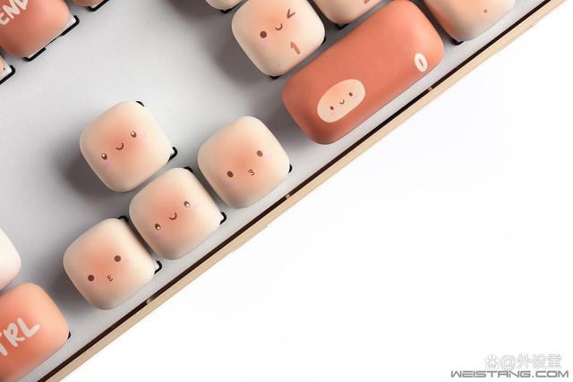 个性化与实用兼具的神器! 魔极客AKKO MG108B馒头乐园三模机械键盘评测插图35 个性化与实用兼具的神器! 魔极客AKKO MG108B馒头乐园三模机械键盘评测插图35