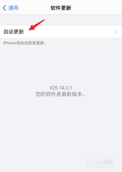 iphone16怎么禁止系统自动更新？iphone16禁止系统自动更新教程插图2