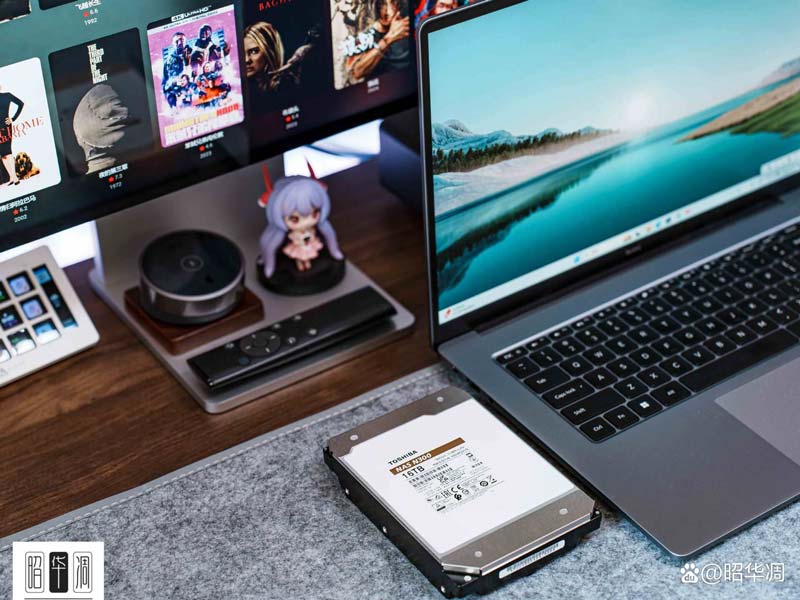 专为存储而生的NAS专用硬盘! 东芝N300固态硬盘测评插图16