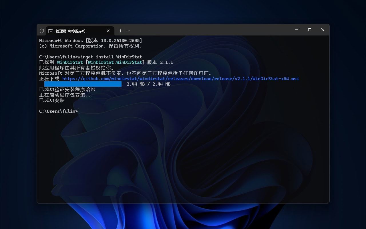 windows如何查看文件夹大小? 轻松在Win11上查看文件夹大小的6种方法插图8