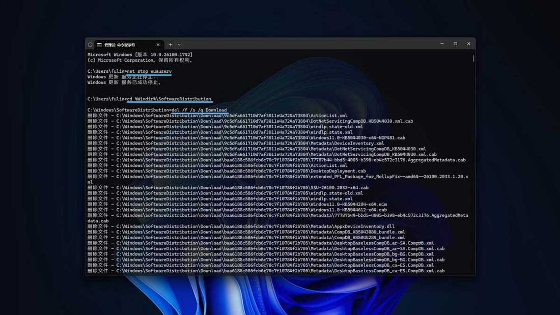 旧Windows更新文件怎么删? Win11/10删除Windows更新缓存文件的四种方法插图13