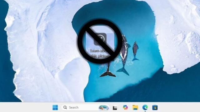 Win11了解此图片图标怎么删除? Spotlight壁纸删除了解有关此图片的技巧插图 Win11了解此图片图标怎么删除? Spotlight壁纸删除了解有关此图片的技巧插图