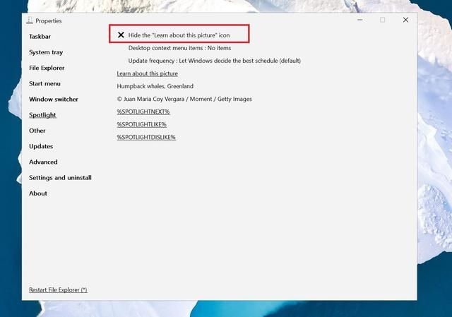Win11了解此图片图标怎么删除? Spotlight壁纸删除了解有关此图片的技巧插图2 Win11了解此图片图标怎么删除? Spotlight壁纸删除了解有关此图片的技巧插图2