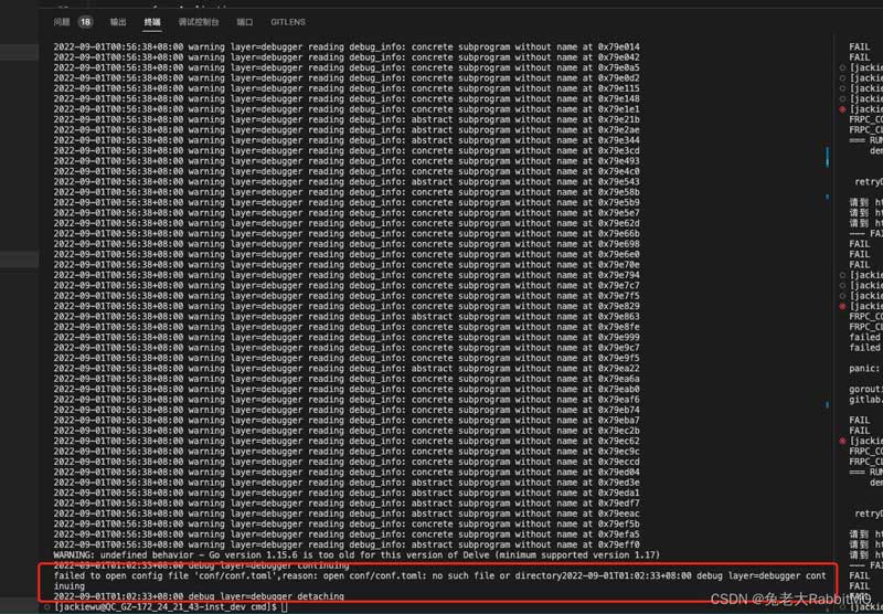Vscode怎么实现远程调试项目? vscode远程调试go的配置教程插图10