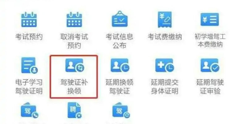 网上怎么审驾驶证(网上怎么审驾驶员资格证)