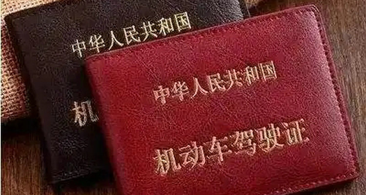 驾照分去哪里可以查(驾照分在哪里可以学)