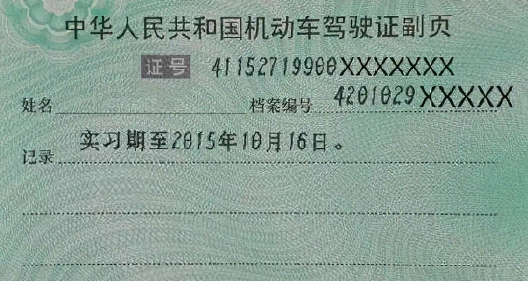 驾照副页丢了怎么办理(驾驶证副页丢了怎么补多少钱)插图