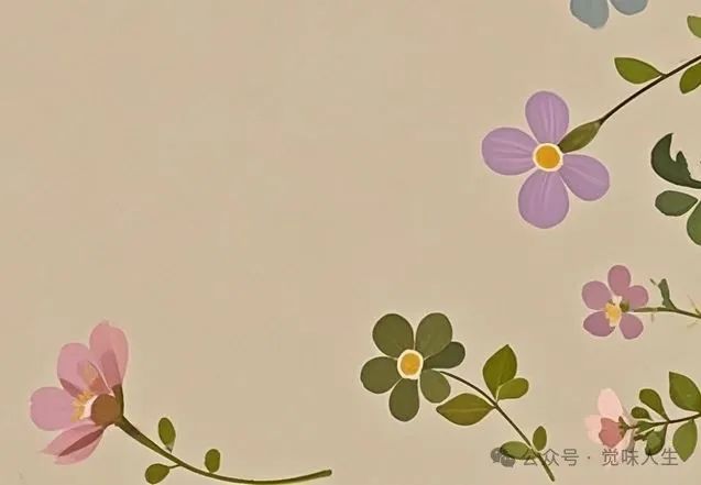 人啊,忙了一辈子,到底图啥?插图 图片