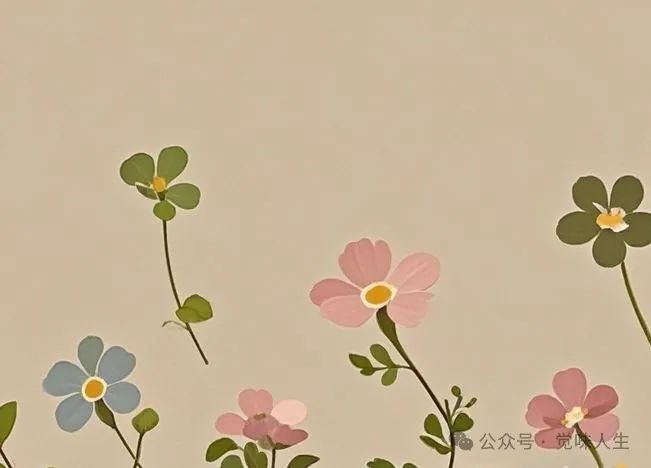 人啊,忙了一辈子,到底图啥?插图1 图片