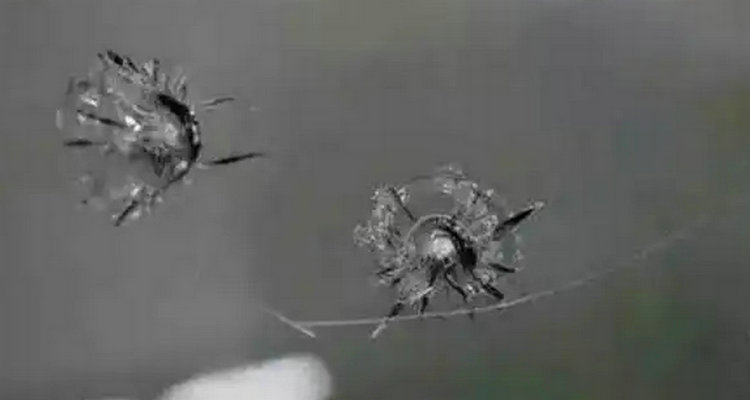 车玻璃被石头子崩了怎么修复(车玻璃被石头子崩了个小坑怎么办)