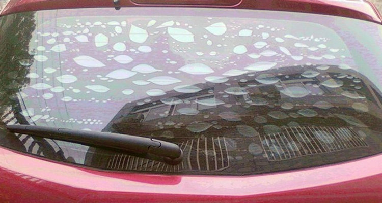 车贴膜后有密密麻麻的小点点怎么回事(车贴膜后有密密的白点)插图 车贴膜后有密密麻麻的小点点怎么回事(车贴膜后有密密的白点)插图