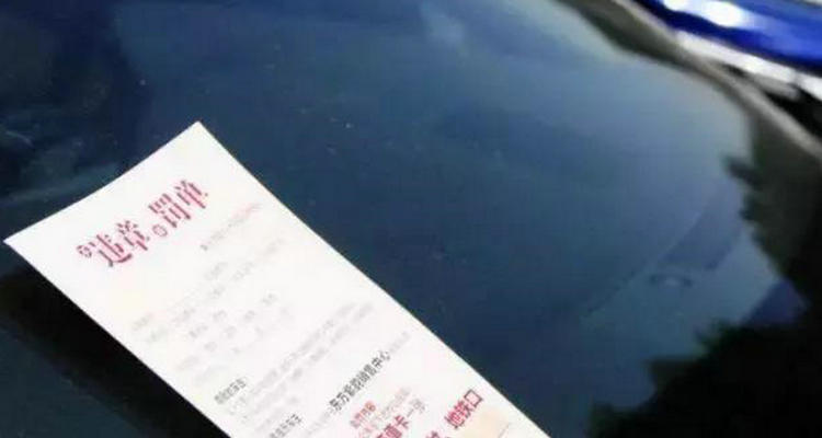 罚款交了怎么还显示违法未处理(罚款交了怎么还是限制高消费呢)插图