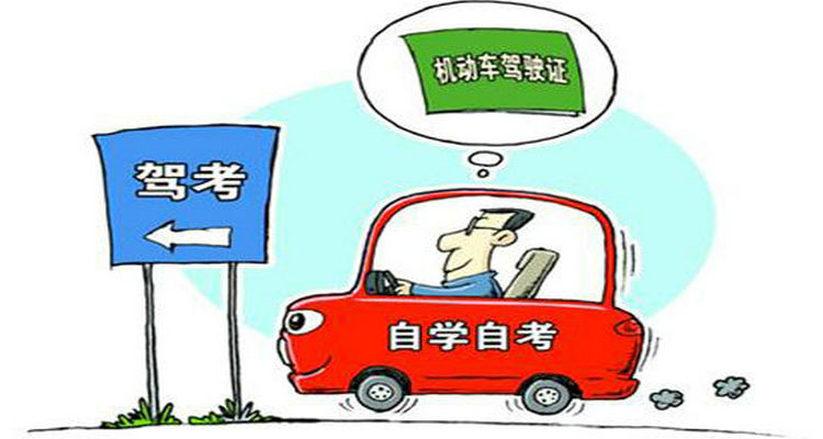 报考驾校费用可以退吗(报考驾校费用可以退回吗)