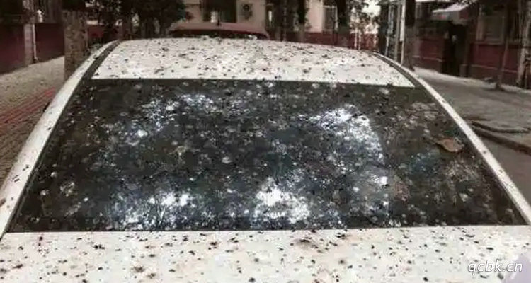 树油滴在车上怎么去除 树油滴在车上怎么办(树油滴在车上对车漆有什么影响)