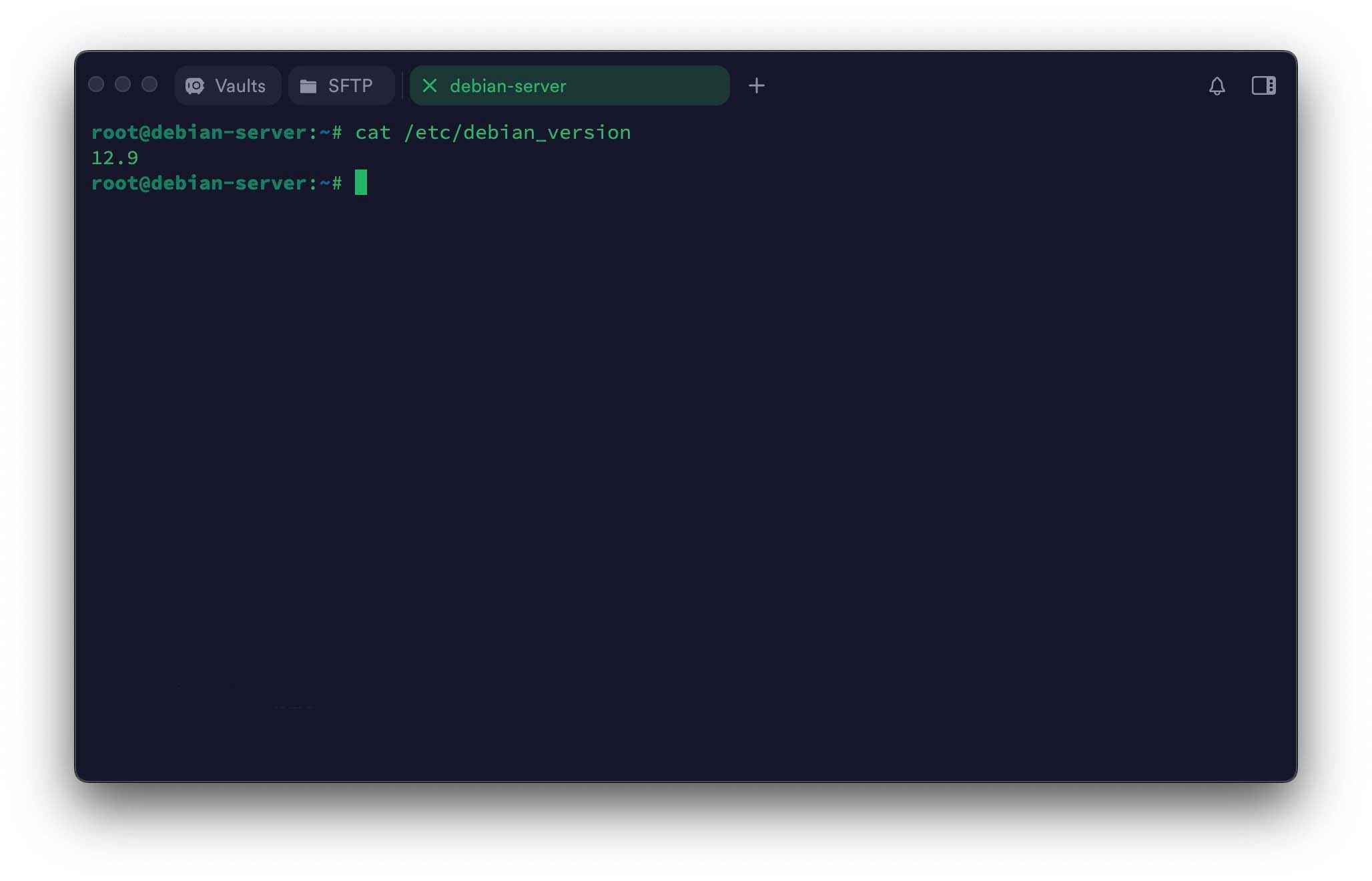 Debian如何查看系统版本? 7种轻松查看Debian版本信息的实用方法插图2 Debian如何查看系统版本? 7种轻松查看Debian版本信息的实用方法插图2
