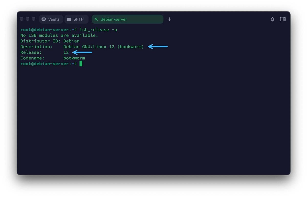 Debian如何查看系统版本? 7种轻松查看Debian版本信息的实用方法插图3 Debian如何查看系统版本? 7种轻松查看Debian版本信息的实用方法插图3