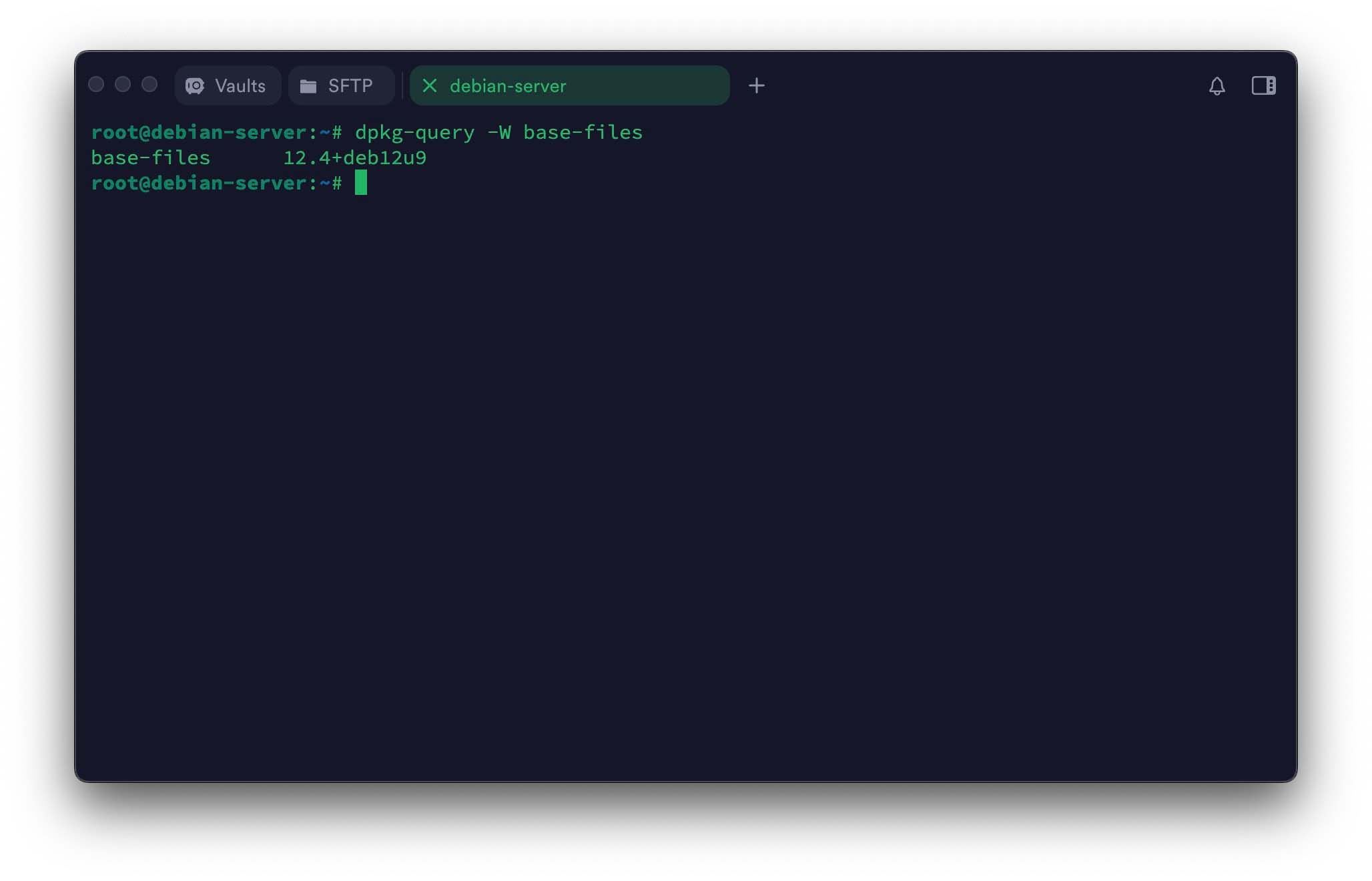 Debian如何查看系统版本? 7种轻松查看Debian版本信息的实用方法插图6 Debian如何查看系统版本? 7种轻松查看Debian版本信息的实用方法插图6