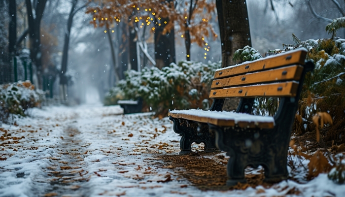 寒潮携大范围雨雪来袭 6省将迎暴雪伴多雨