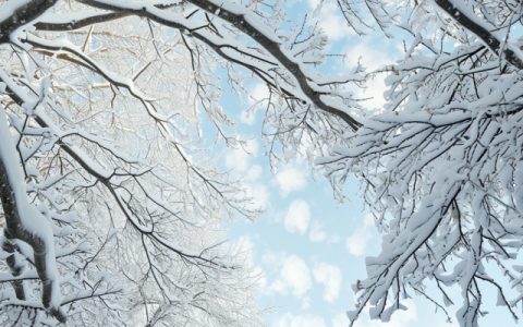 新一波强冷空气来袭降温10℃   南方气温反转北方多地迎大雪