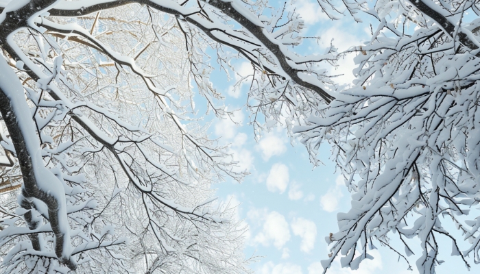 冷空气势力整体较弱 我国大部气温以偏高为主插图 冷空气势力整体较弱 我国大部气温以偏高为主