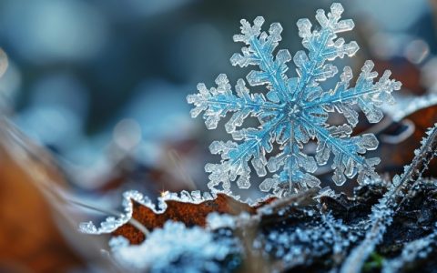 气温大幅偏高持续 大寒时节南方将迎强势回暖