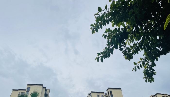 今天北京天气以多云为主  明天气温下降最高气温仅2℃