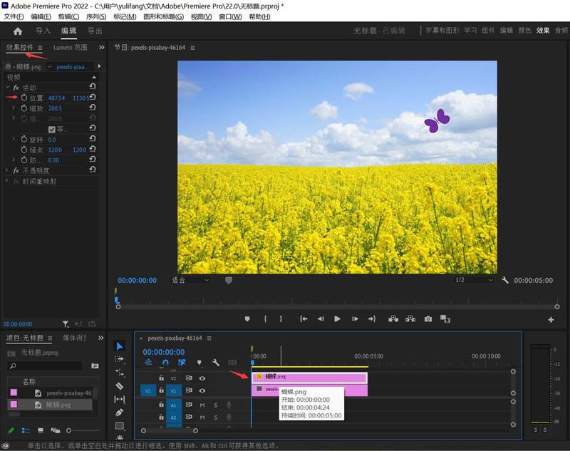 Premiere怎么做蝴蝶飞舞动画? Pr巧用关键帧制作蝴蝶飞舞动画的技巧插图2