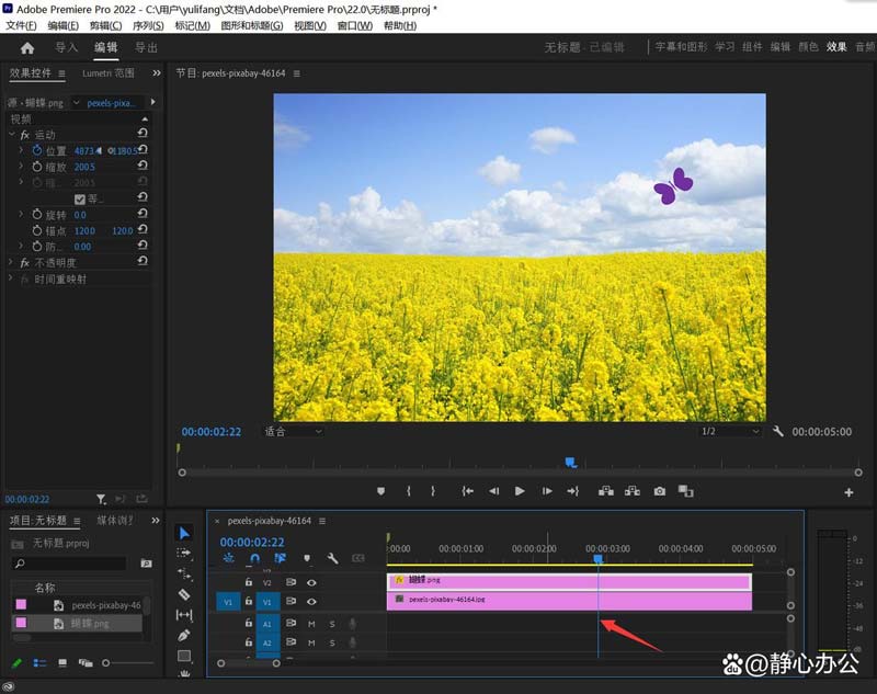 Premiere怎么做蝴蝶飞舞动画? Pr巧用关键帧制作蝴蝶飞舞动画的技巧插图4