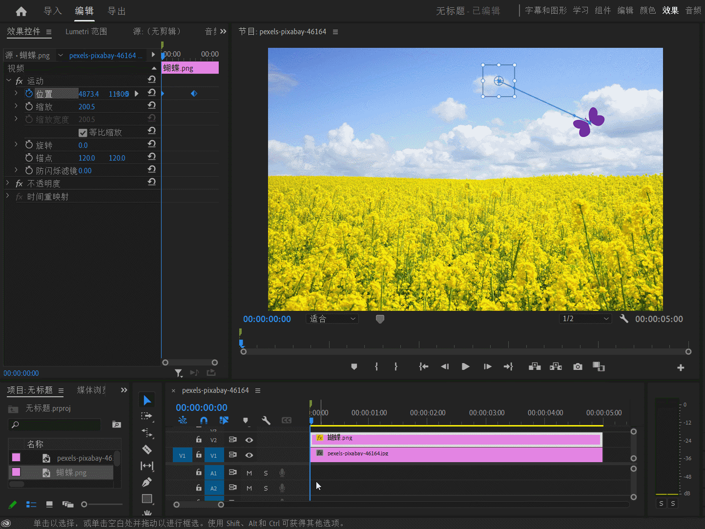 Premiere怎么做蝴蝶飞舞动画? Pr巧用关键帧制作蝴蝶飞舞动画的技巧插图6