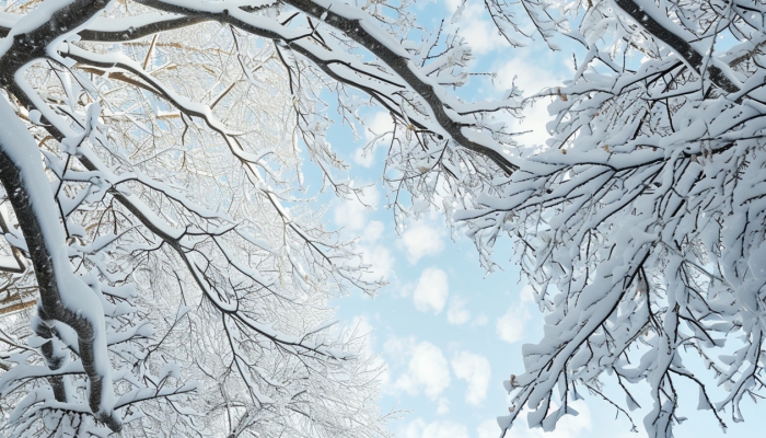 今年最强回暖后遇最强冷流 13省气温骤降超20℃