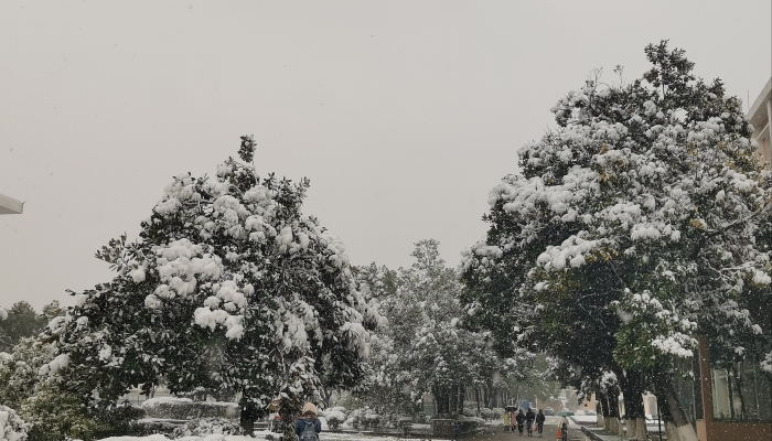 元宵前夜冷空气突袭 华南伴回南天降温大风齐上阵