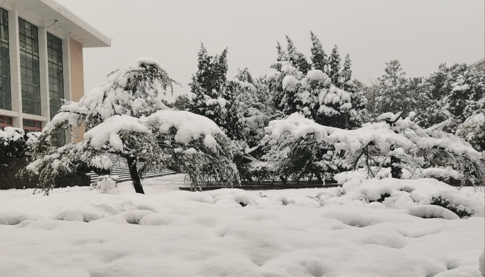 浙江未来三天雨雪天气频繁 杭州等地最高气温仅有6至7℃