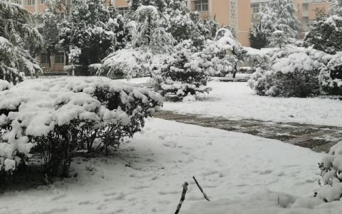 北方大部晴日多风 新一股强冷空气将影响中东部