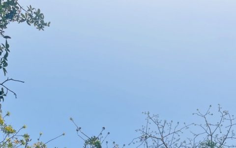 北京今天白天阵风较大 明后天最高气温将升至12至14℃