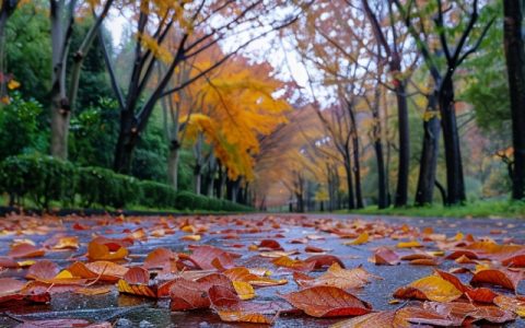 2025年2月25日国外天气预报：马达加斯加有较强降雨