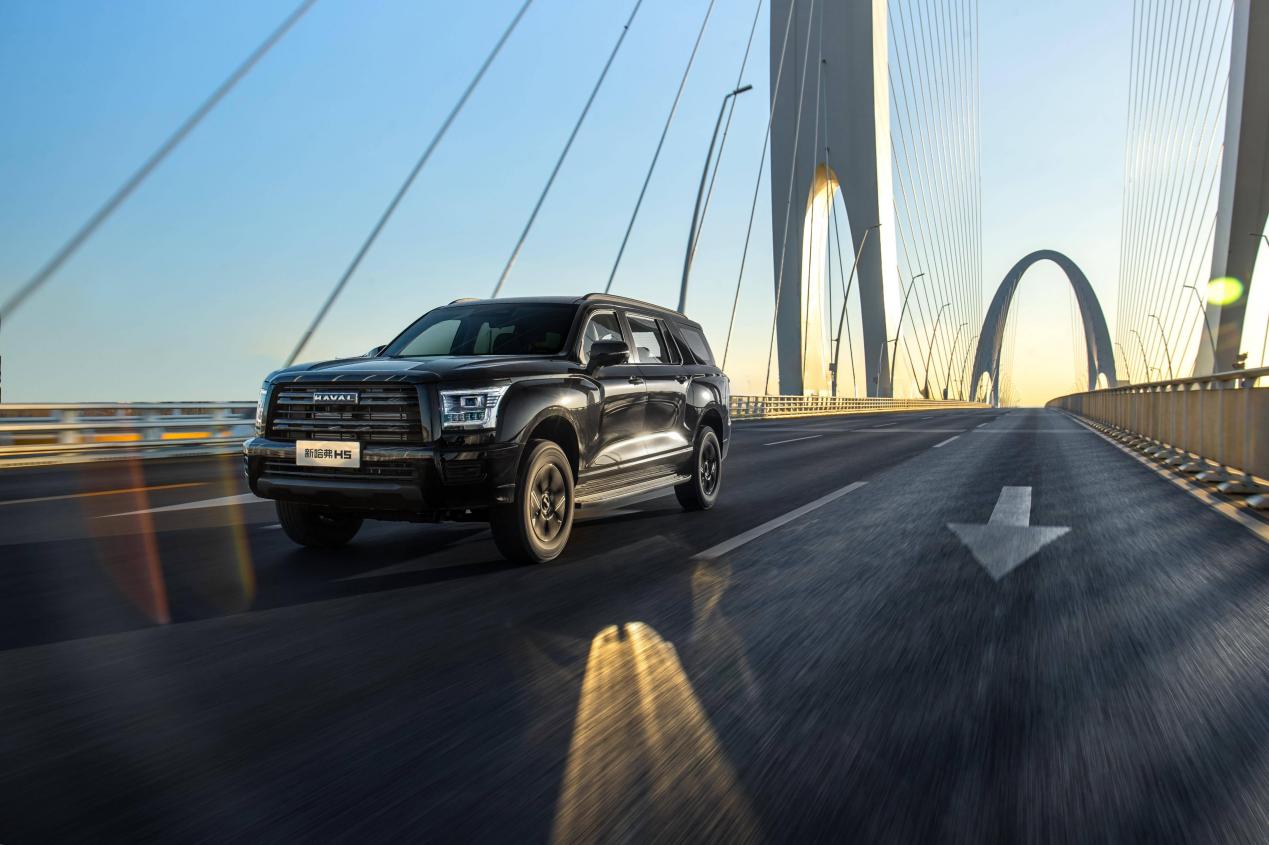 重新定义大型全用途SUV新标杆，2025款新哈弗H5进阶上市插图4